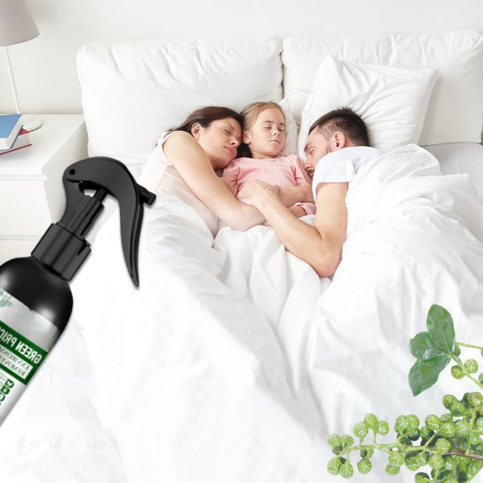 Aeroma™ — Breathe Easy Instantly with a Mite-Free, Fresh Home