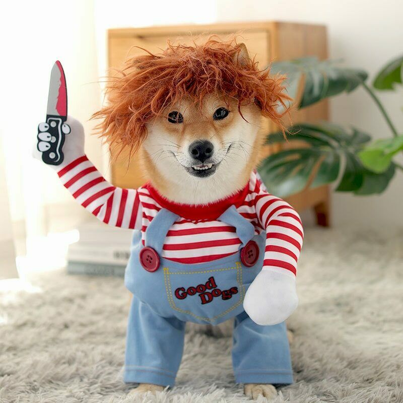 Halloween Costume for Your Dog - Chucky Dog 50% Off
