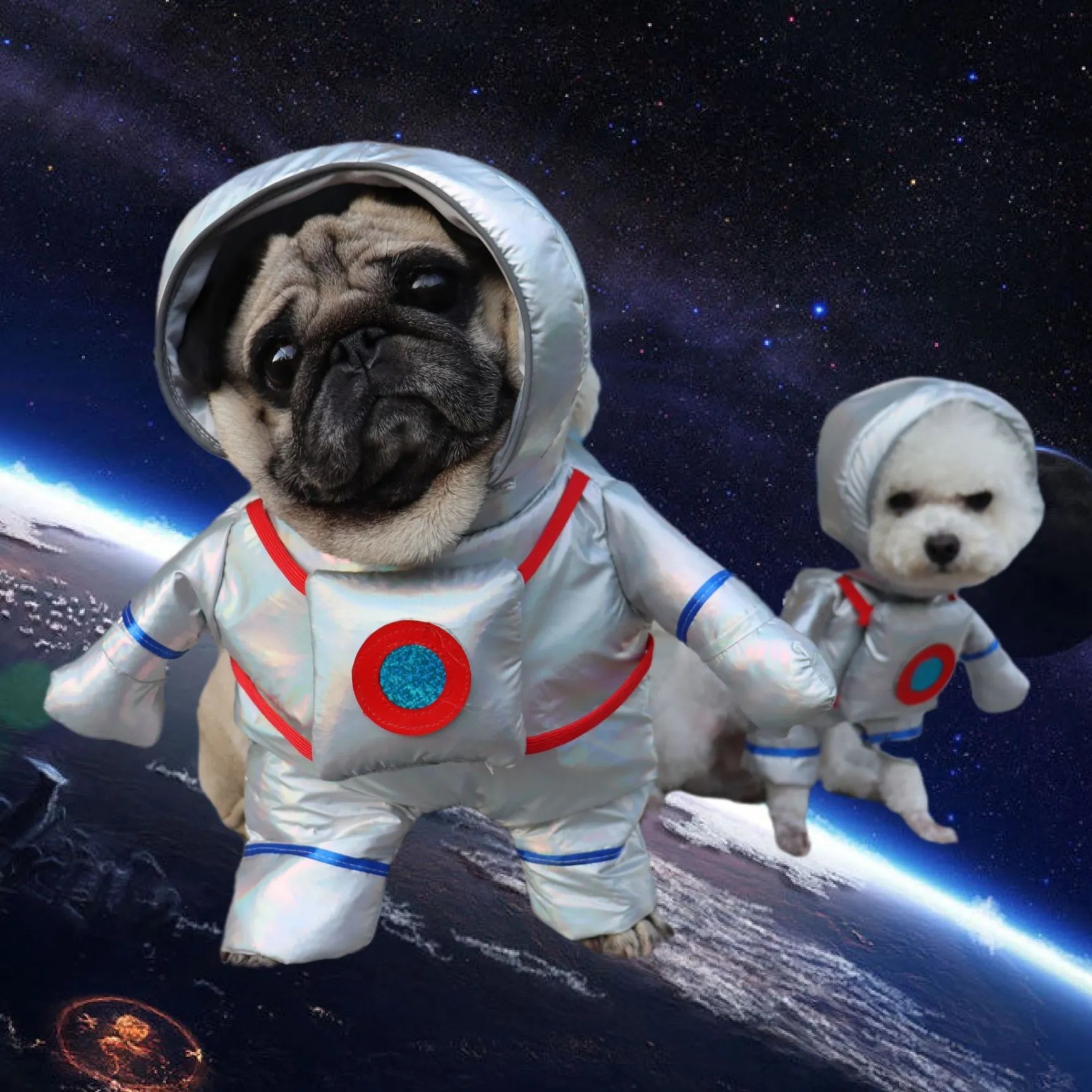 Halloween Costume for Your Dog - Chucky Dog 50% Off