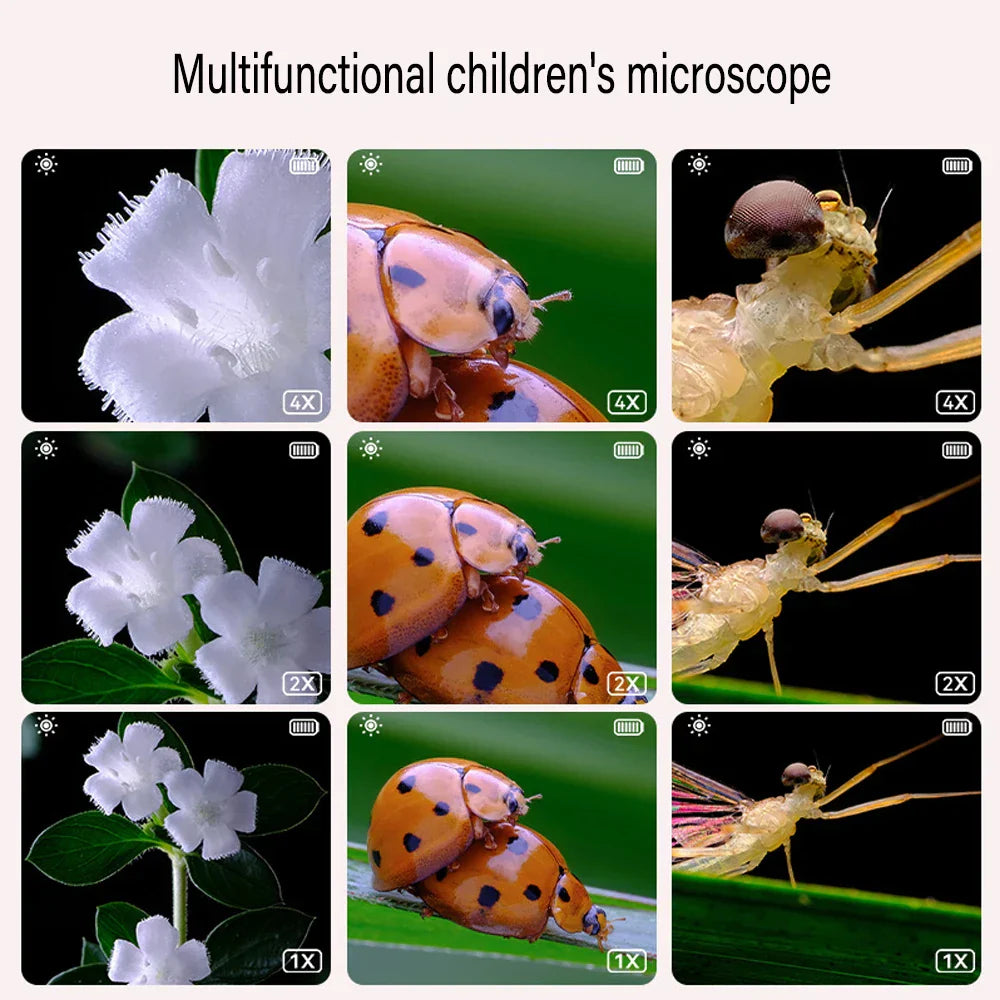 50% Discount Temporary | Digital Handheld Magnifying Microscope