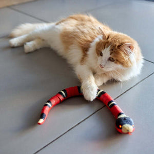 Smart Cat Toy - Snake Design with 50% Discount [Last Day Sale]