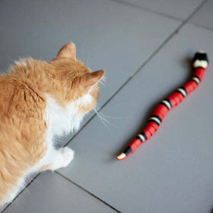 Smart Cat Toy - Snake Design with 50% Discount [Last Day Sale]