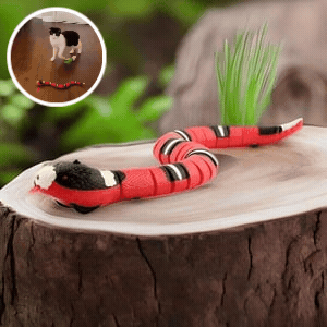 Smart Cat Toy - Snake Design with 50% Discount [Last Day Sale]