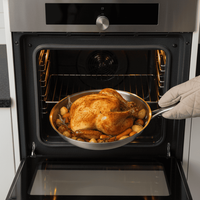 Stainless Steel | Non-Coated Searing | Even Heat Distribution | TitanCore