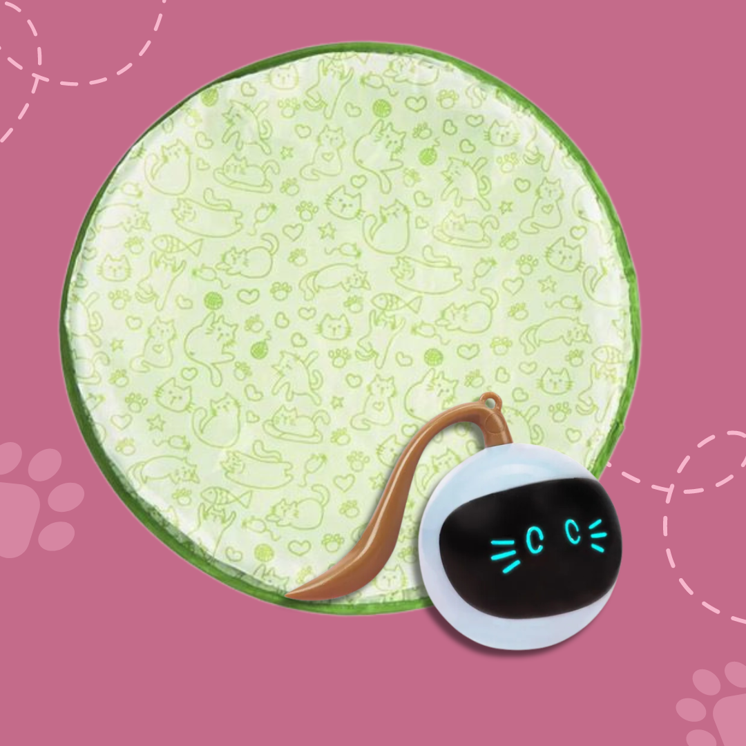 ProwlPulse™ — Unleash Your Cat’s Wild Instincts and Boundless Joy