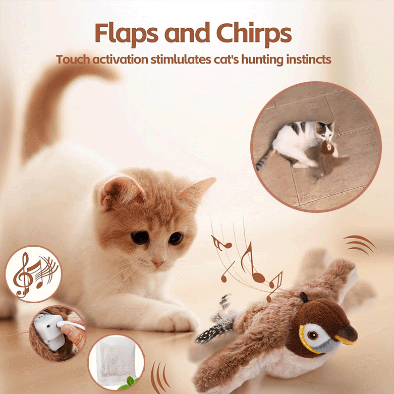 FeatherFrenzy™ — Ignite Your Cat’s Wild Instincts for Non-Stop Thrilling Play