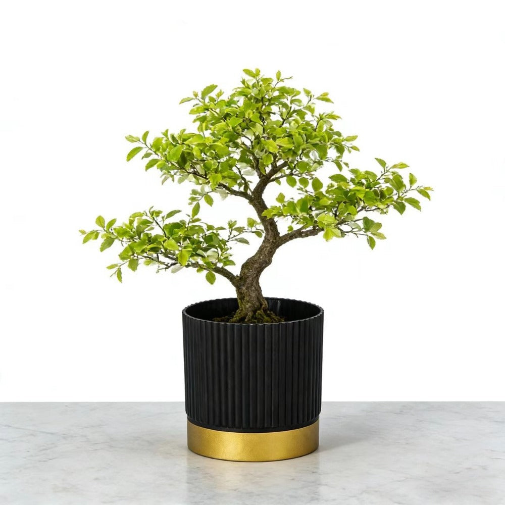 Chic Striped Planter for Stylish Indoor Greenery