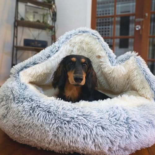 Cozy Canine Retreat: The Perfect Bed for Anxious Pups