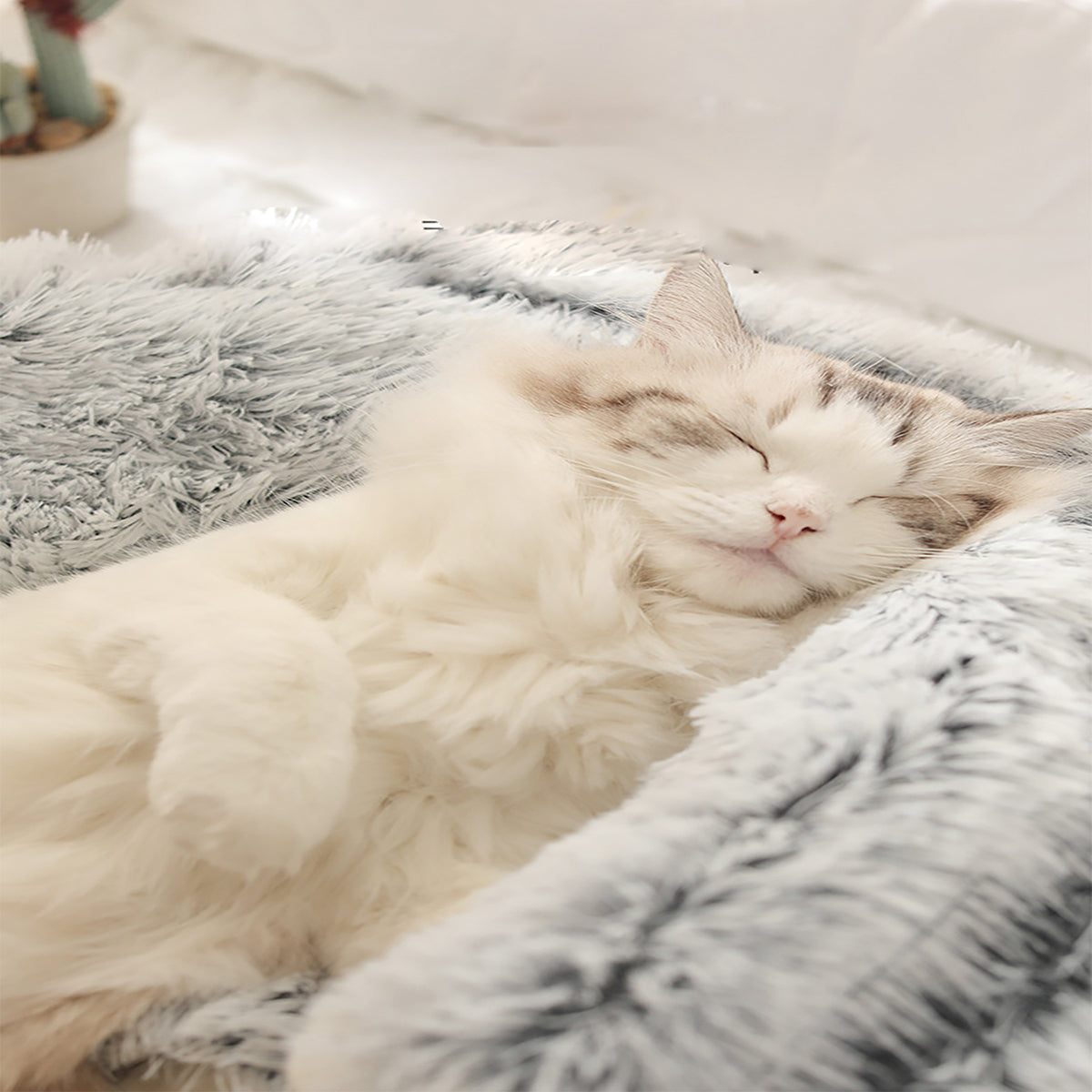 PawsNest™ — Wrap Your Pet in Soothing Comfort and Endless Snuggles