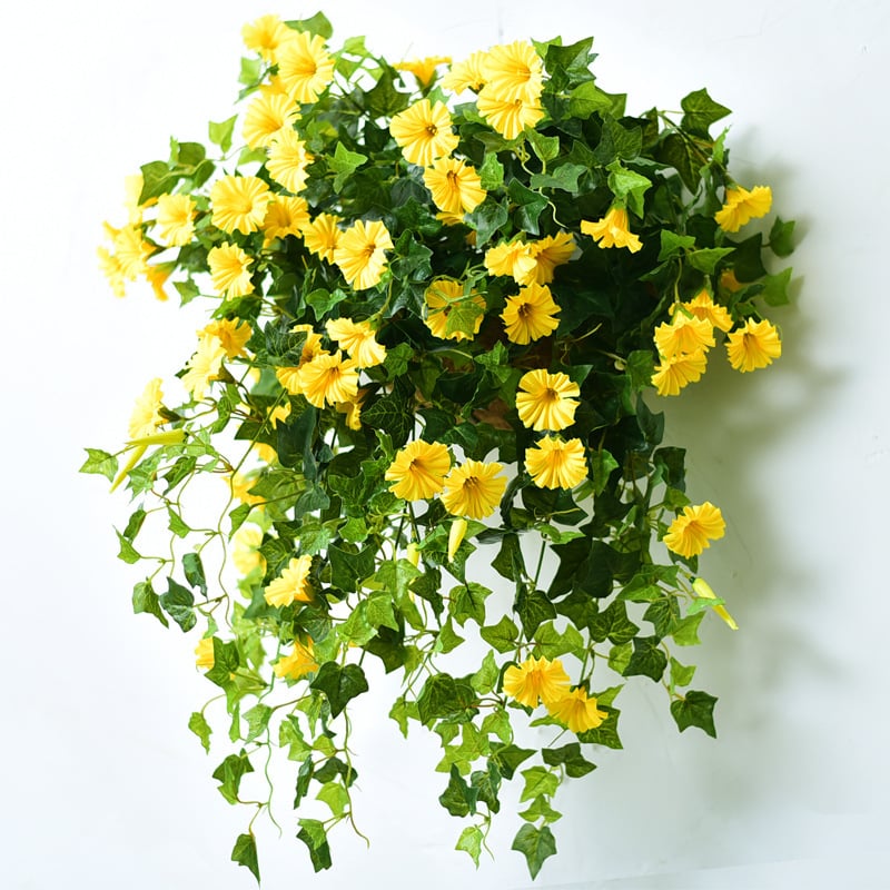 BloomVista™ — Effortless, Vibrant Blooms That Brighten Every Moment