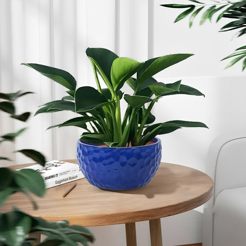 Artisan Crafted Cobalt Blue Ceramic Planter Trio