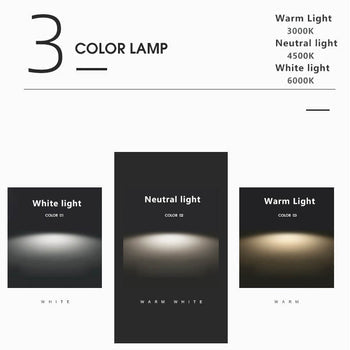Round LED Ceiling Lamp