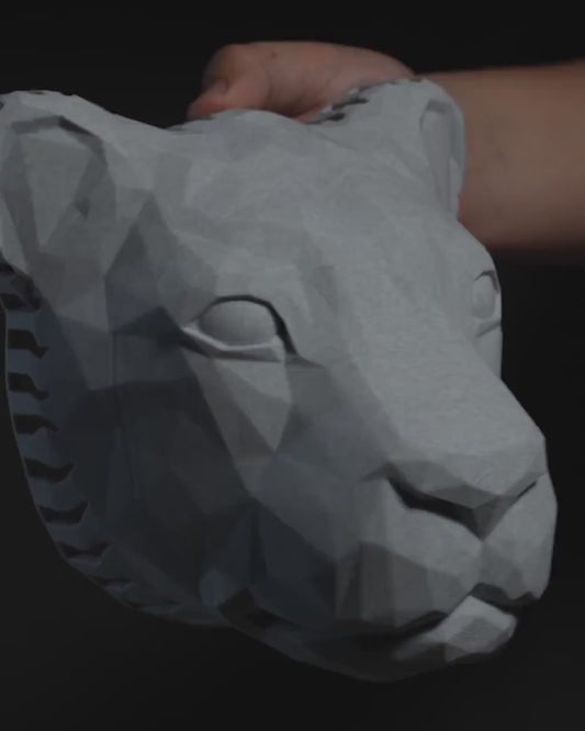 IllumiSphere™ — Ignite Wonder and Bring Stunning 3D Magic to Every Room
