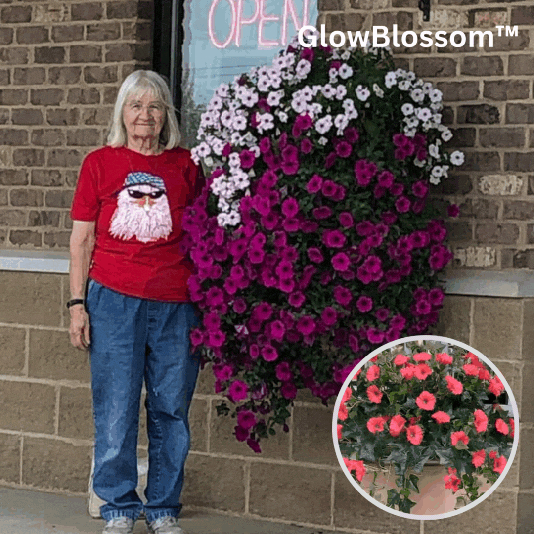 BloomVista™ — Effortless, Vibrant Blooms That Brighten Every Moment