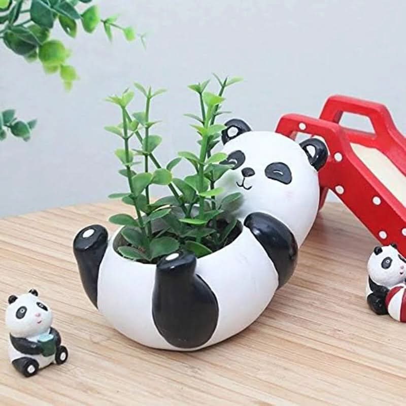 Adorable Panda Succulent Pot for Plants