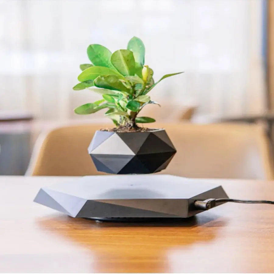 Flower Planter | Rotates 360° | Artistic, Floating Design | AeroPlant