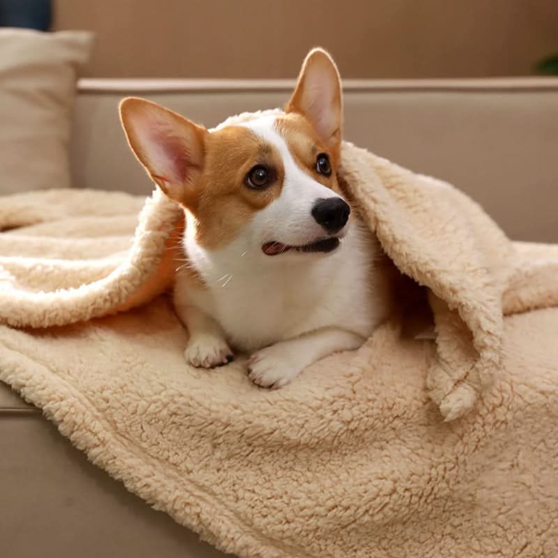 Luxurious Fleece Blanket for Pets - Ultimate Comfort