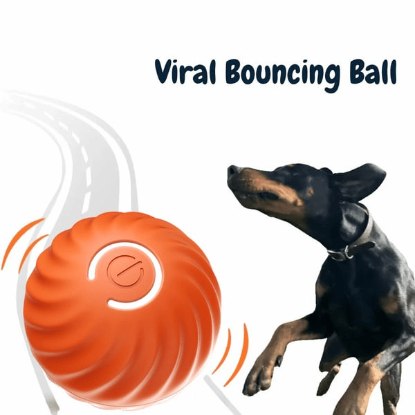 ChaseSpark™ — Ignite Your Dog’s Wild Instinct for Endless Play and Pure Joy