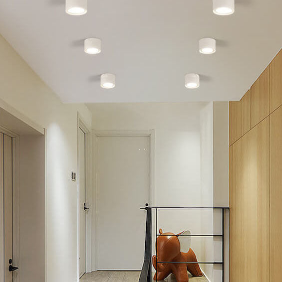 LED Cylinder Ceiling Spotlight