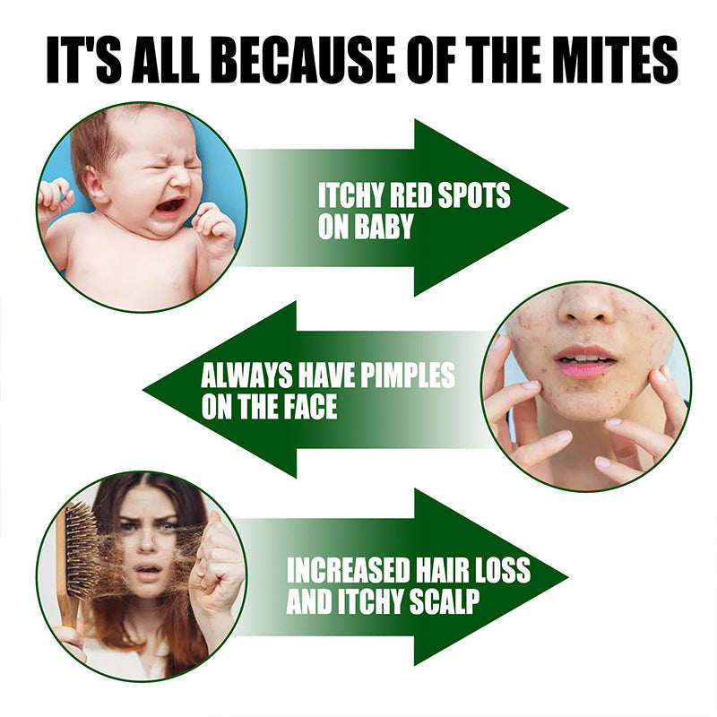 Aeroma™ — Breathe Easy Instantly with a Mite-Free, Fresh Home