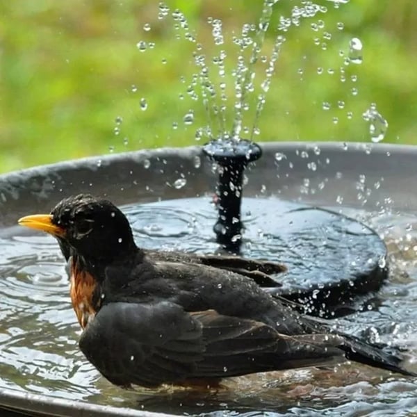 SolaraStream™ — Transform Your Garden Into a Sun-Powered Oasis of Peace and Life
