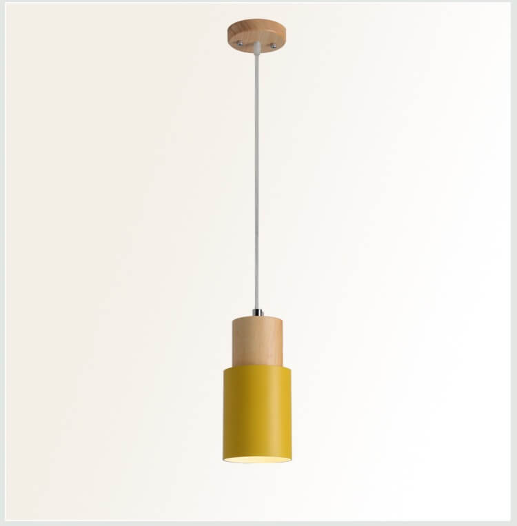 Modern Metal Pendant Light Fixture