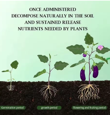 RammoBloom™ — Revive Your Plants Instantly for a Lush, Vibrant Garden You’ll Love Every Day