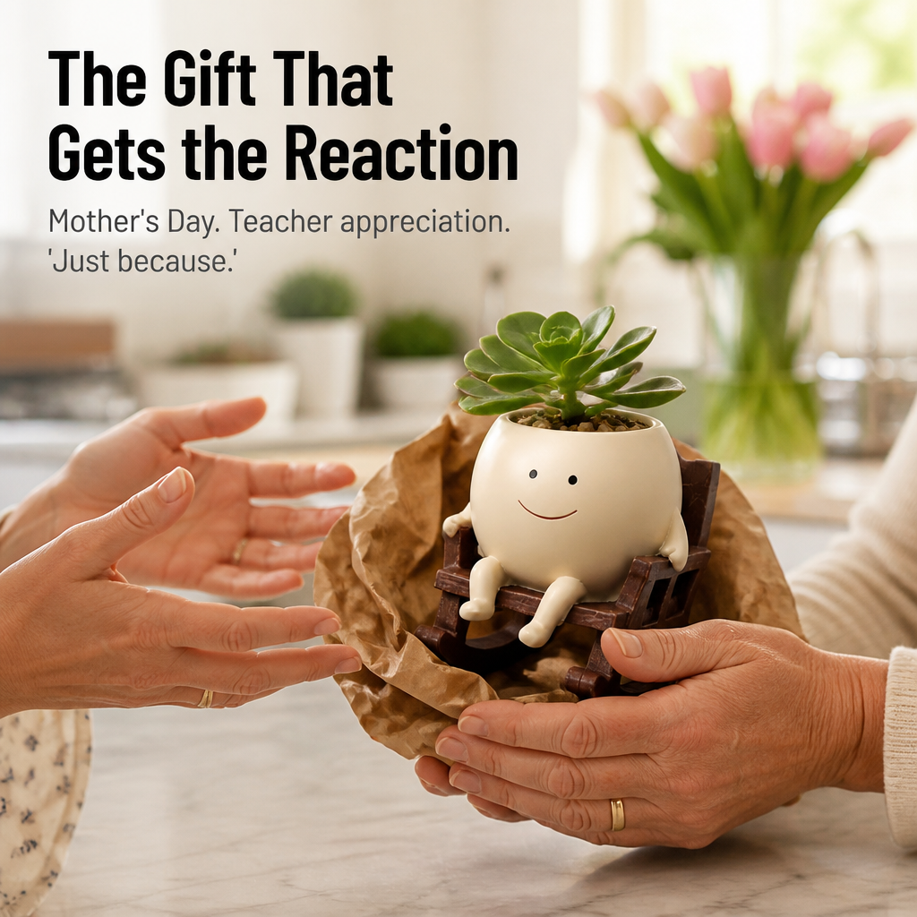 VivaChairs™ — Transform Any Succulent Into a Grinning Desk Companion Instantly