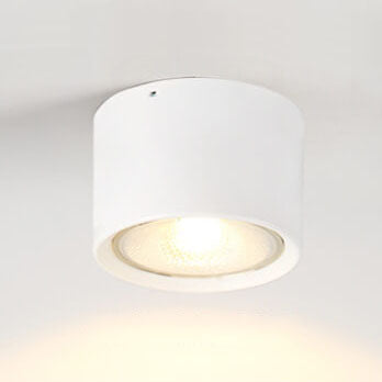 LED Cylinder Ceiling Spotlight
