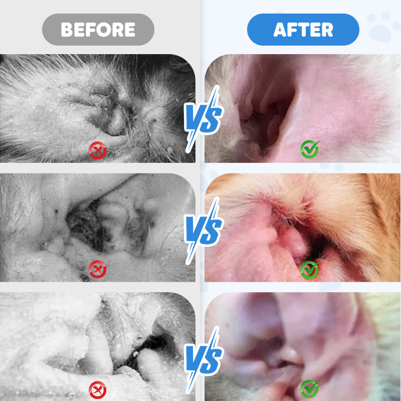 SootheVet™ — Melt Away Ear Itch and Odor for Happy, Peaceful Pets