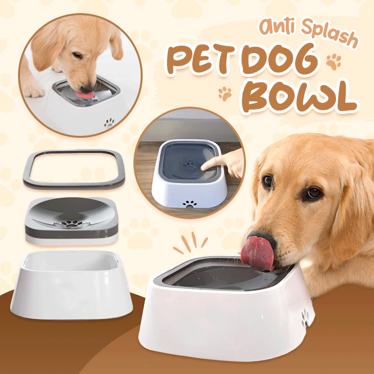HydrWell™ — Keep Floors Dry and Your Pup Calm with Splash-Free Sipping