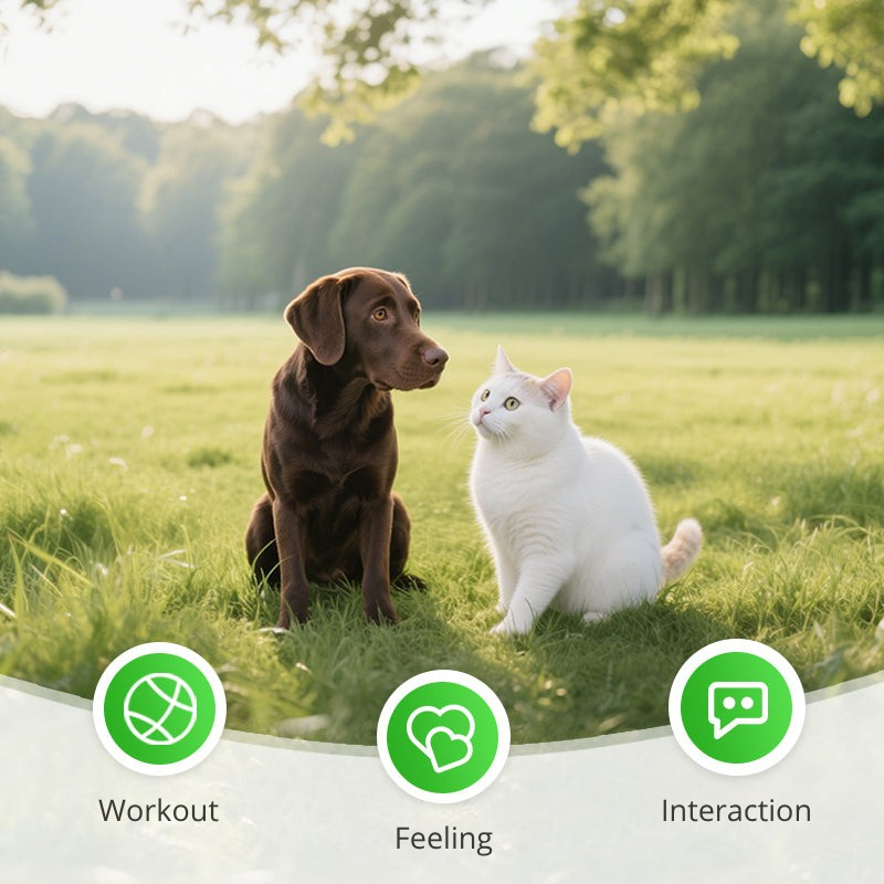 VitaRod™ — Unleash Your Cat’s Wild Energy for Limitless Playful Adventures