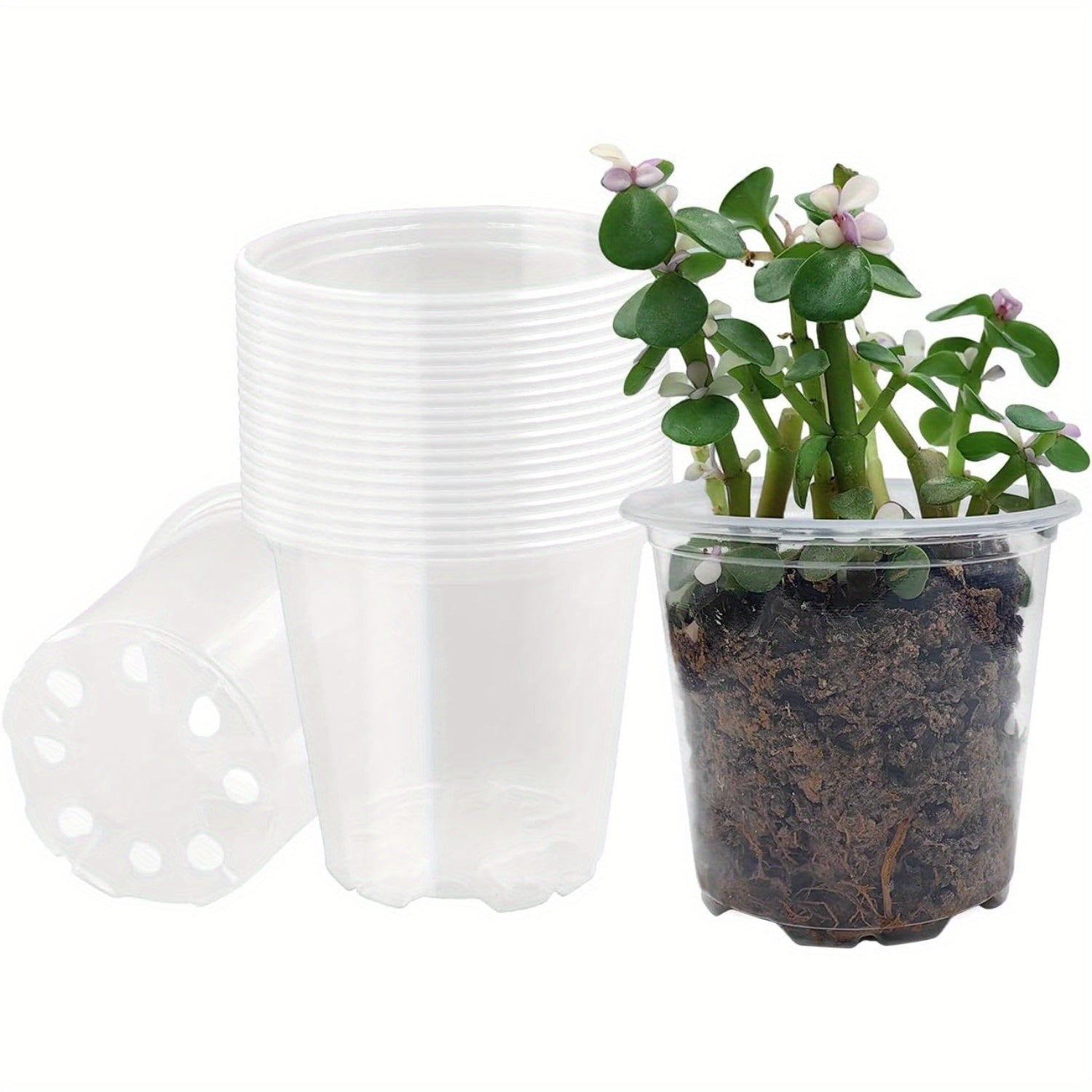 ClearGrow Pack – 20 Count See-Through Nursery Pots for Root Observation