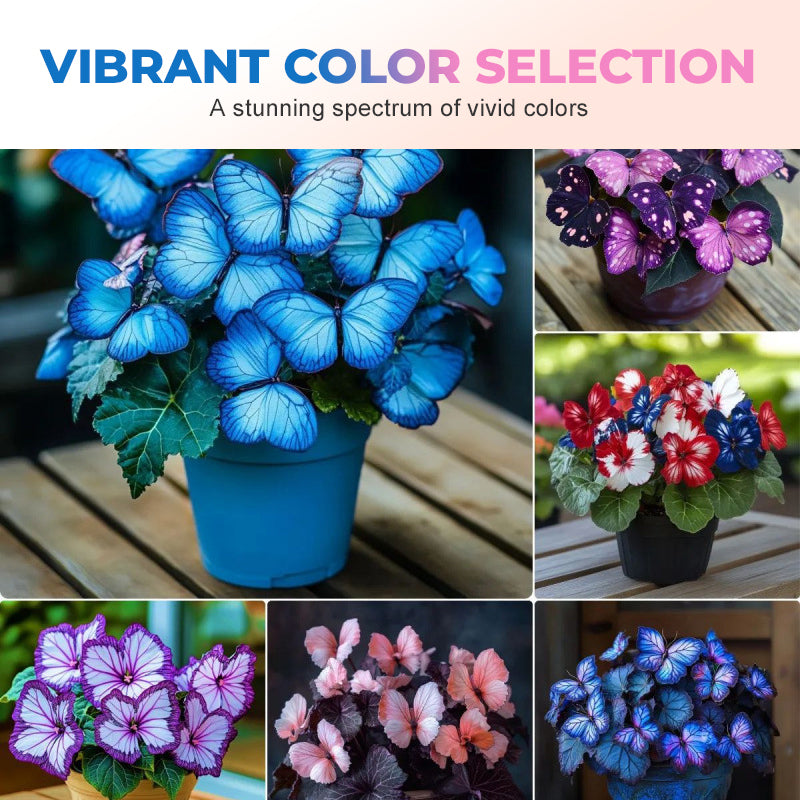 VividFlair™ Butterfly Bloom Seeds — Turn Your Garden Into a Dazzling Butterfly Wonderland That Steals Every Heart