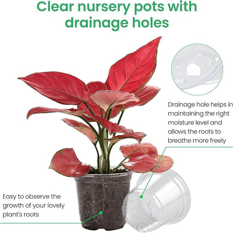 ClearView Seed Pots – 15-Pack for Effortless Seedling Growth