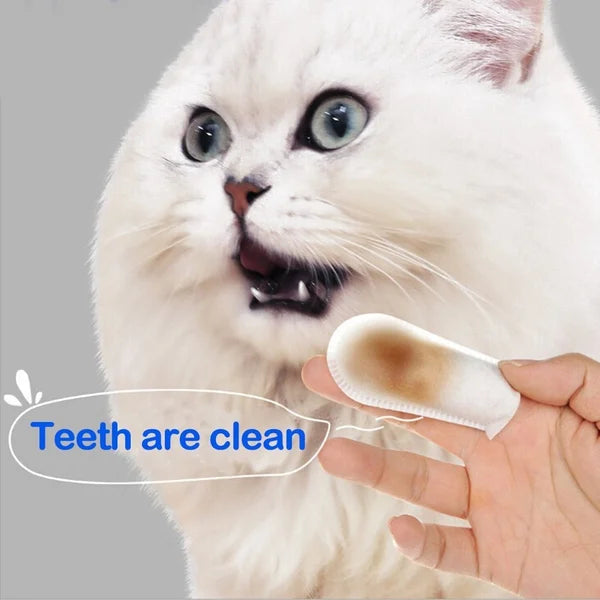 SofTouch™ — Effortless Minty Freshness That Brings You Closer to Your Pet