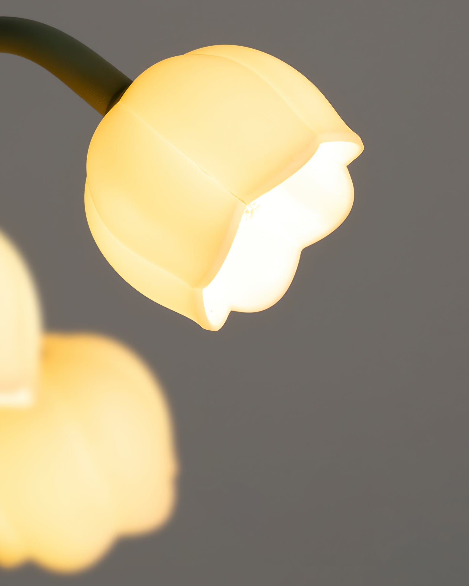 Table lamp featuring a bell orchid