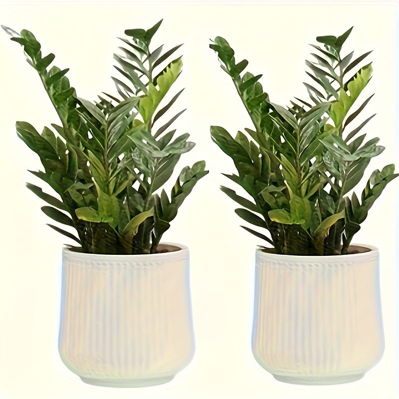 Stylish Indoor Planter Duo for Chic Home Decor