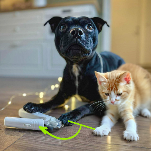 PawZen™ — Trim Fearlessly with Calm Precision and Happy Paws Every Time