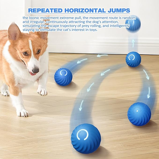ChaseSpark™ — Ignite Your Dog’s Wild Instinct for Endless Play and Pure Joy
