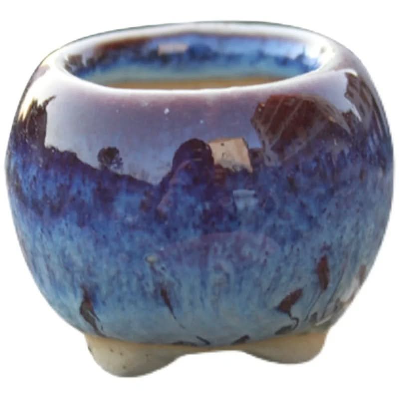 Mini Succulent Pot Set in Ceramic Material