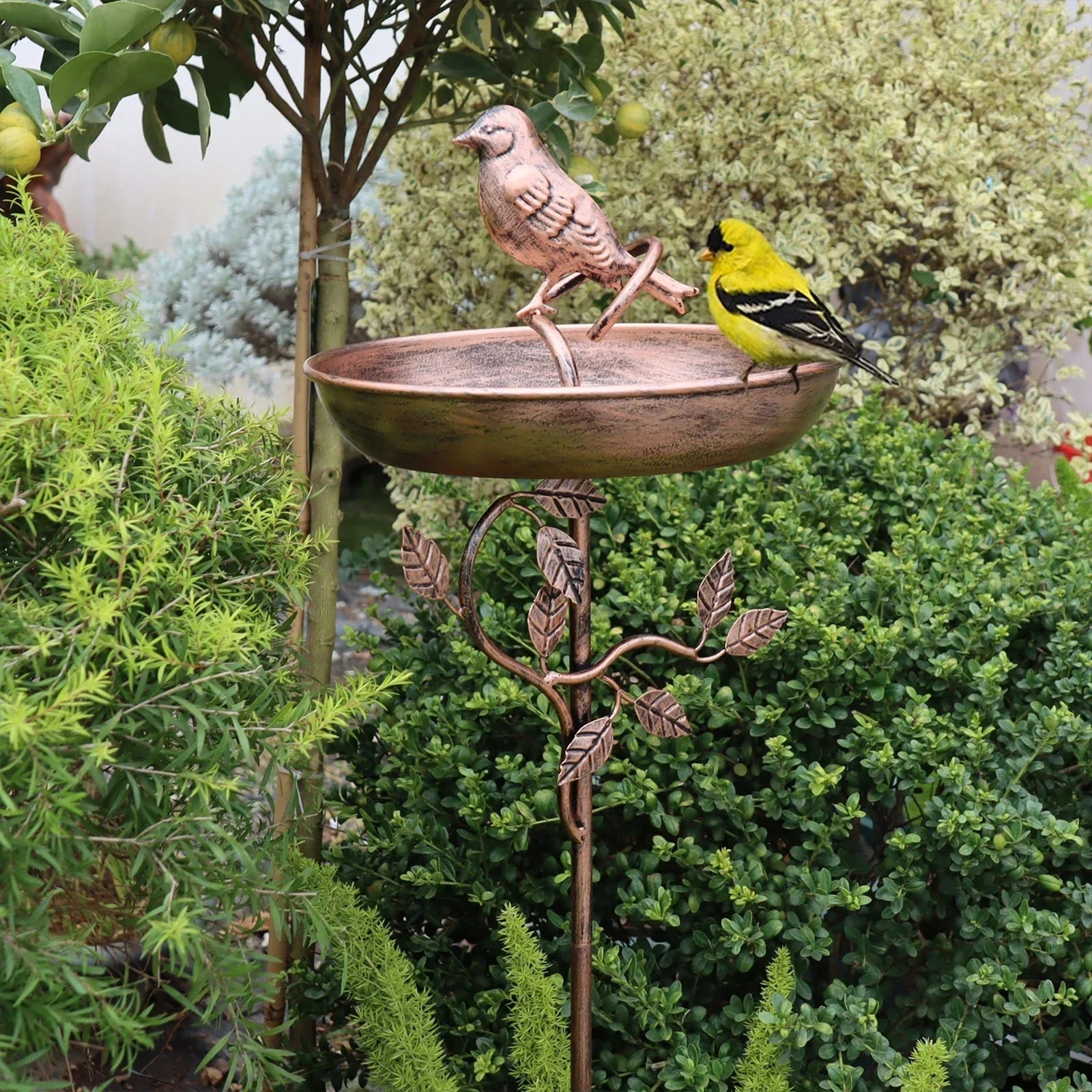 Garden Bird Water Bowl | Decorative Basin | Stable Spike | GardenShine