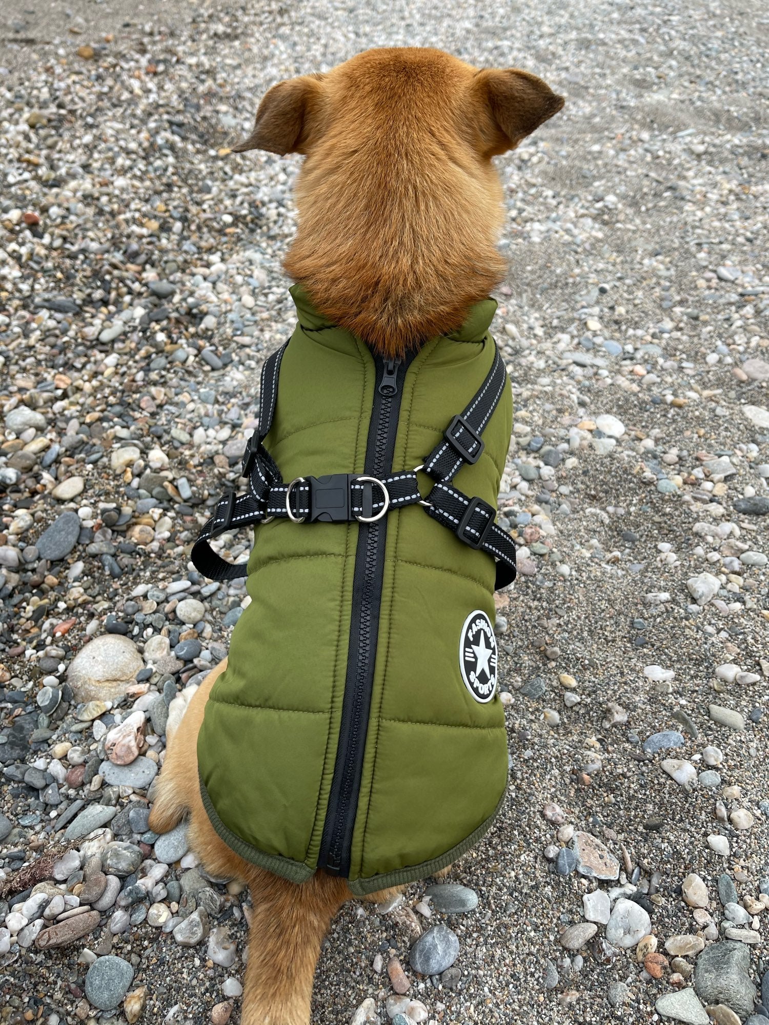 VetraGuard™ — Block Wind, Rain & Cold While Clipping Your Leash in One Move