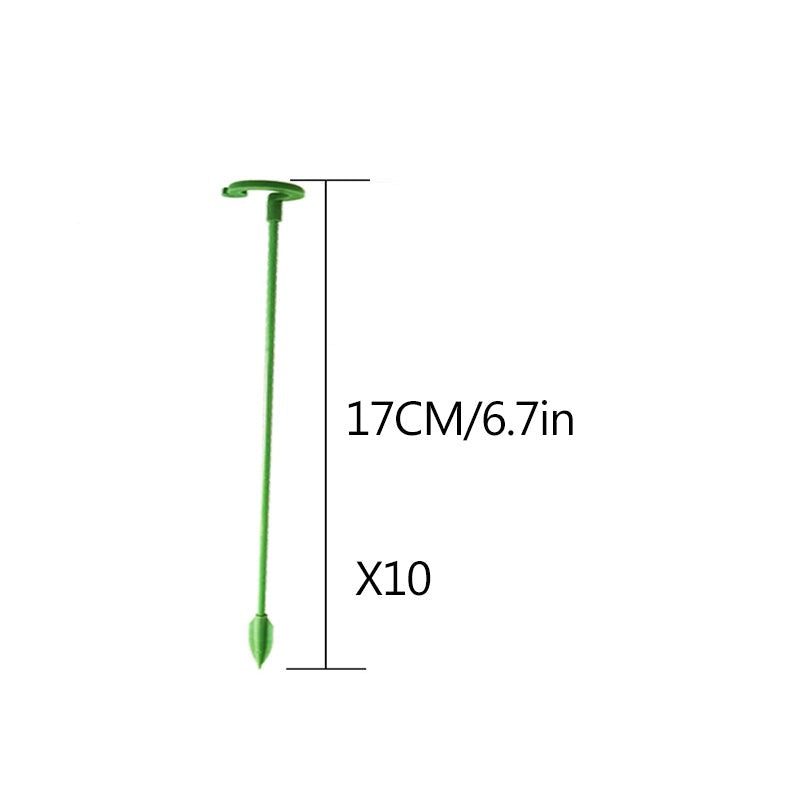 StellaStem™ — Rock-Solid Support for Plants That Rise Strong and Proud