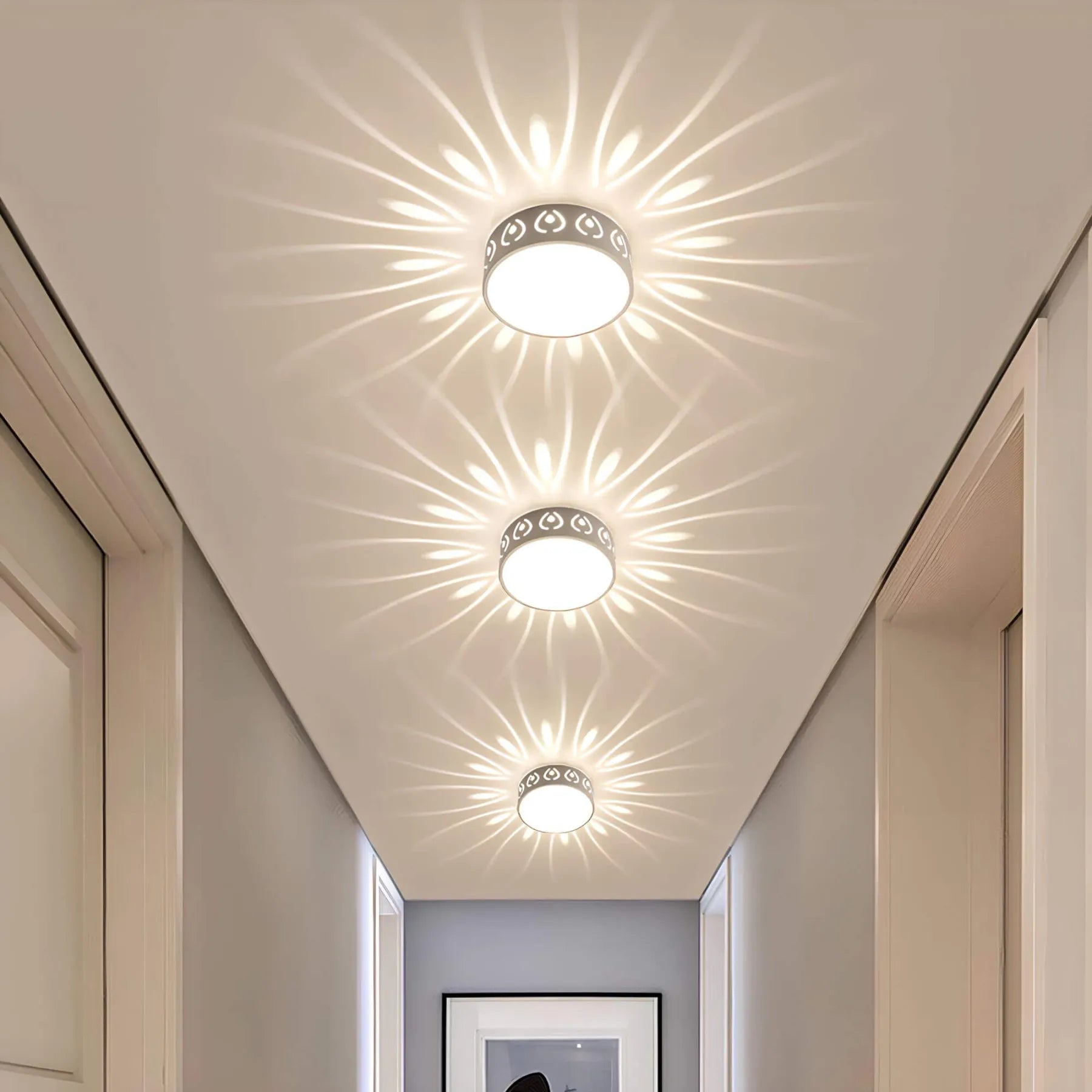 LED Ceiling Light Fixture