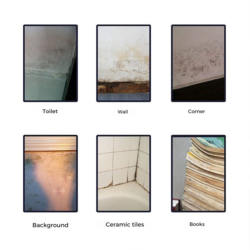 AuraPure™ — Instantly Erase Mold and Breathe Fresh Confidence Every Day