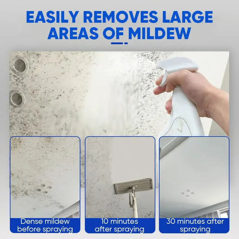 Mold Removal Spray - Effectively Eliminate Stubborn Mold and Safeguard Your Home