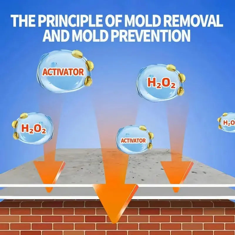 Mold Removal Spray - Effectively Eliminate Stubborn Mold and Safeguard Your Home