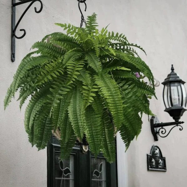 Lifelike UV-Protected Fern for Indoor & Outdoor Elegance