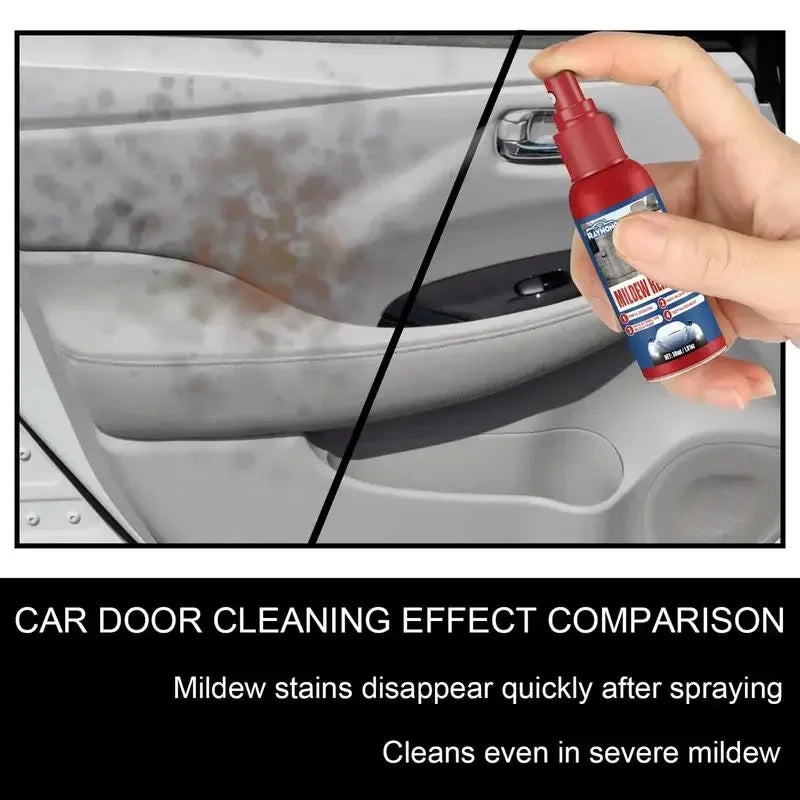 Mold Removal Spray for Interior Surfaces – Quick Application